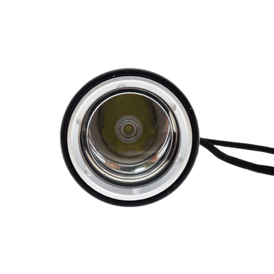 Torcia elettrica d'immersione tenuta in mano dura del LED 600 lumi con il commutatore di pulsante