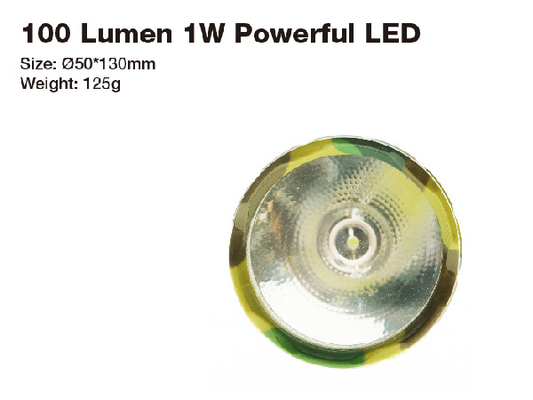 La dimensione pratica 1W LED inserisce la torcia ricaricabile IPX3 10 ore di tempo di esecuzione leggero