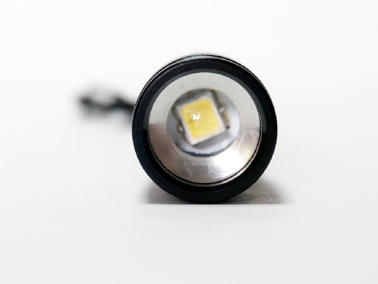 Forte LED Keychain piccola dimensione di resistenza all'acqua della torcia IPX4 della torcia elettrica del AAA
