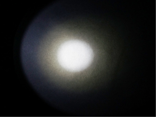 Impiegati principali resistenti di colore della torcia elettrica 6400K del Cree T6 da 500 lumi per cercare