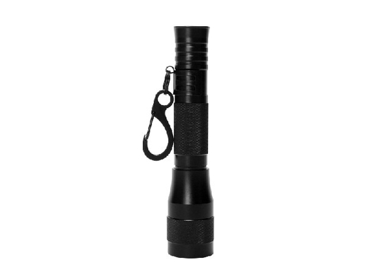 Adatti la torcia elettrica 35lm IP44 di abitudine il LED Keychain che valuta 0.6W uscita massima
